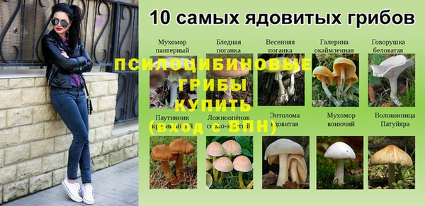 прущий лед Алексеевка