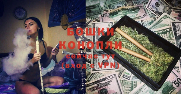 прущие грибы Свободный