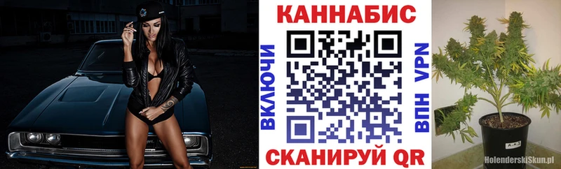 наркошоп Сасово Марихуана OG Kush